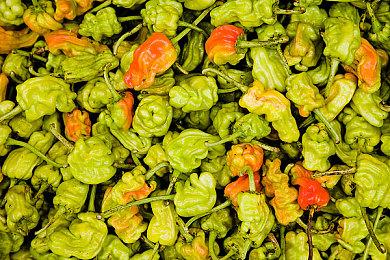 《机甲战魔 神话之裔》公开最新宣传影片！ 包含故事剧情与游戏系统在内的最新资讯现已公开！